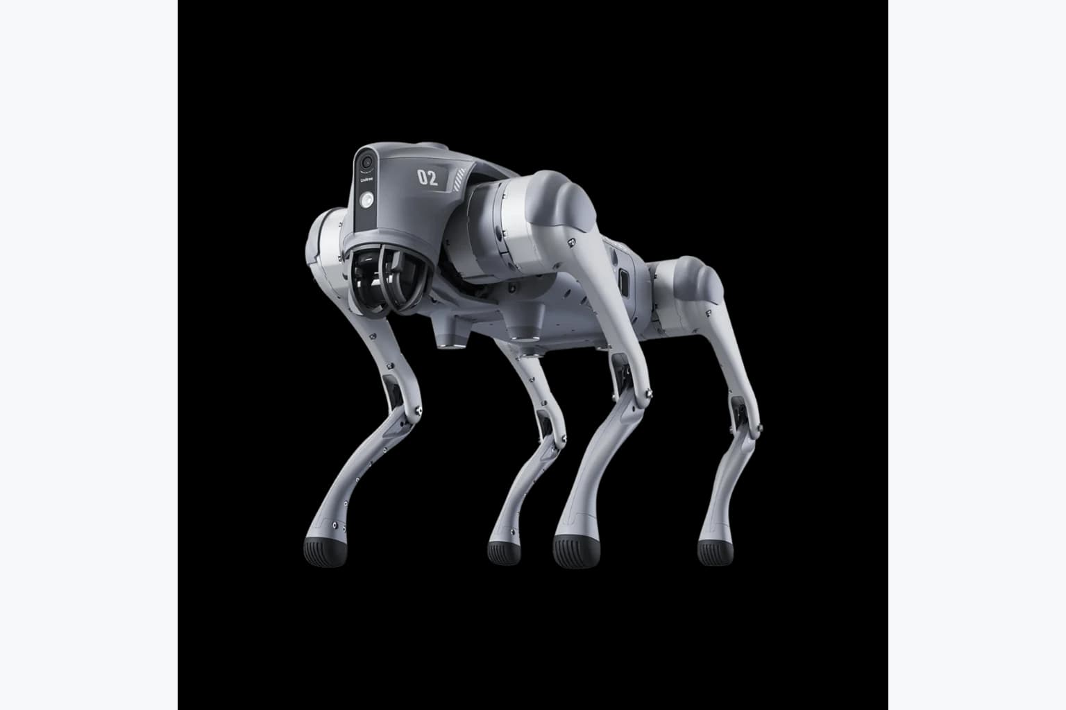 Unitree Go2 EDU Roboterhund 5