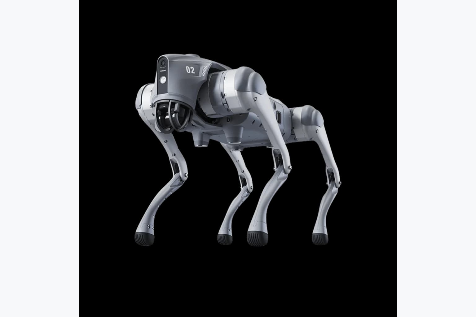 Unitree Go2 Roboterhund 3
