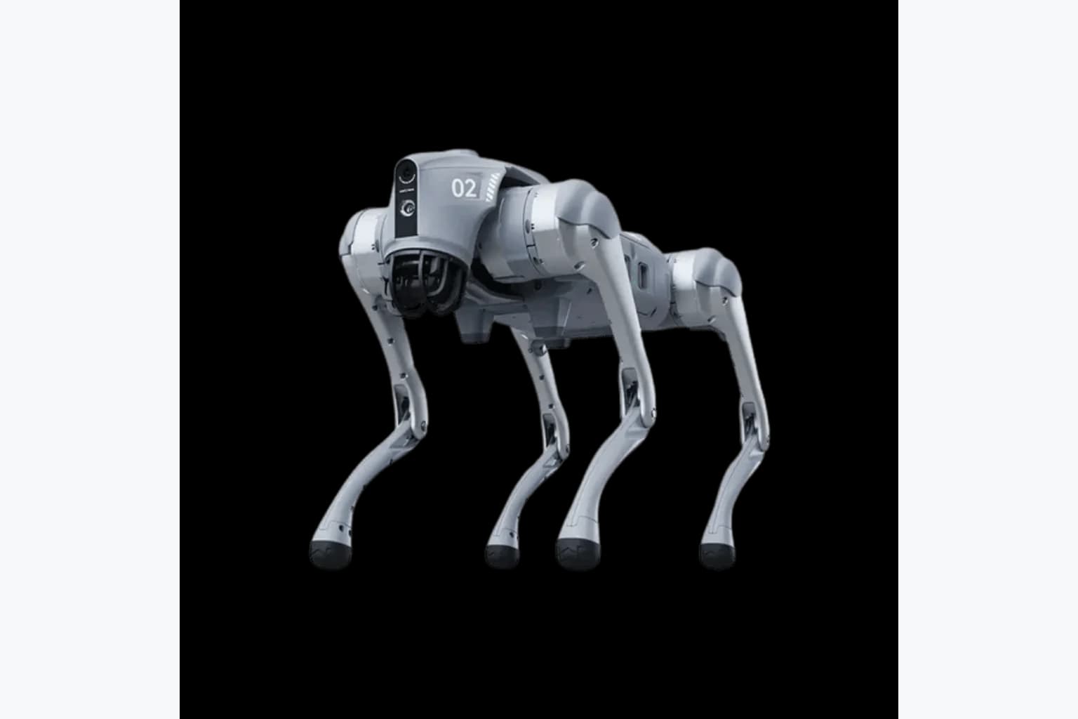 Unitree Go2 Roboterhund 5